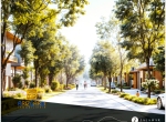 IMG-20250322-WA0024